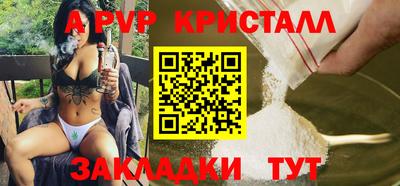 стафф Ставрополь