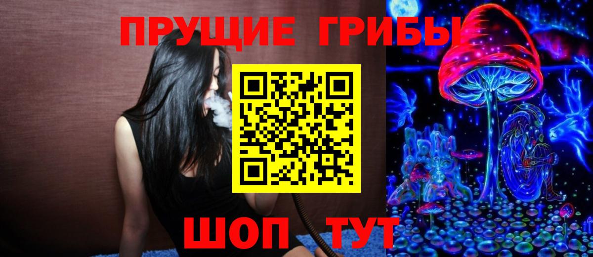 Псилоцибиновые грибы Cubensis Отрадный