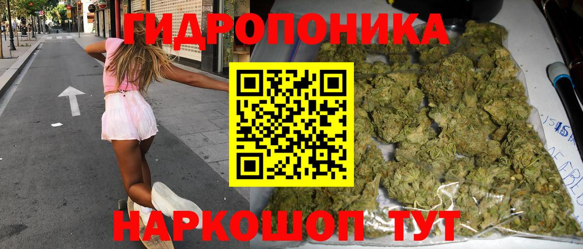 Конопля гибрид Отрадный